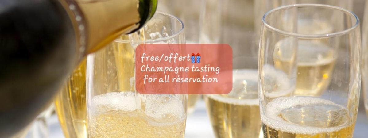 Les Loges Du Theatre Degustation Champagne Offerte Jacuzzi Sauna Jeux Velos Maison Prive 150M2 Historique 14Pers Max Emplacement Exceptionnel Et Chic, 200M De L'Avenue De Champagne, Gare, Musee, Jardins, Restaurations, Toutes Commodites Еперне Екстер'єр фото