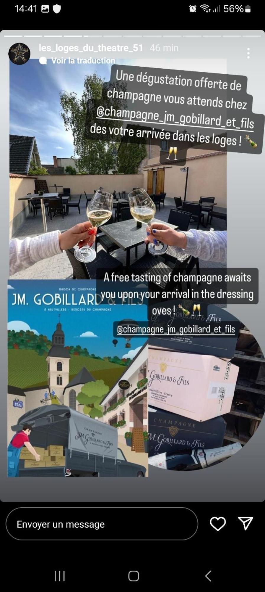 Les Loges Du Theatre Degustation Champagne Offerte Jacuzzi Sauna Jeux Velos Maison Prive 150M2 Historique 14Pers Max Emplacement Exceptionnel Et Chic, 200M De L'Avenue De Champagne, Gare, Musee, Jardins, Restaurations, Toutes Commodites Еперне Екстер'єр фото