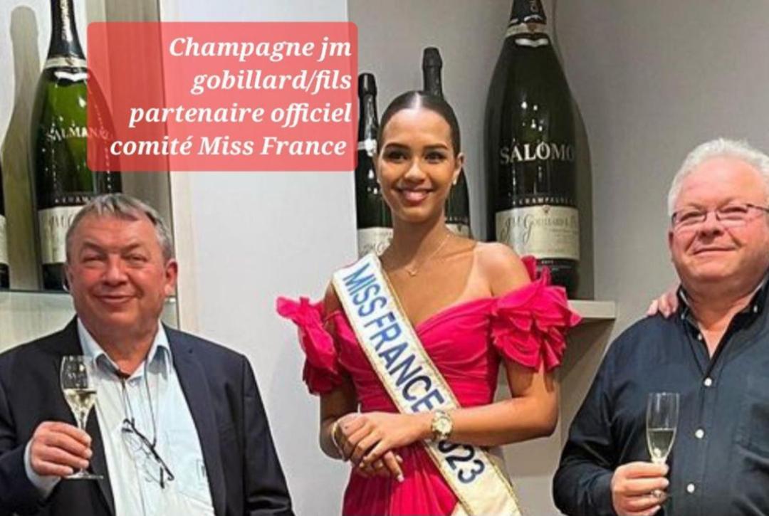 Les Loges Du Theatre Degustation Champagne Offerte Jacuzzi Sauna Jeux Velos Maison Prive 150M2 Historique 14Pers Max Emplacement Exceptionnel Et Chic, 200M De L'Avenue De Champagne, Gare, Musee, Jardins, Restaurations, Toutes Commodites Еперне Екстер'єр фото